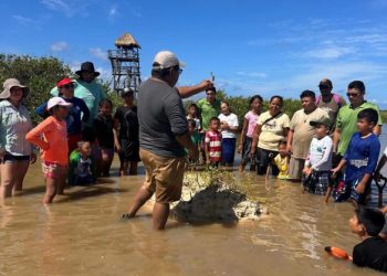 La Fundación de Parques y Museos fomenta la restauración del ecosistema de manglar con la participación activa de la comunidad