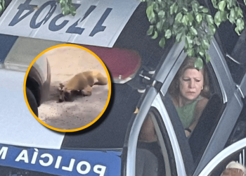 Mujer arrastró a un perrito con su camioneta en Tlaquepaque, Jalisco