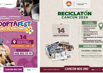 ¿Qué Puedes Reciclar y Cómo Adoptar una Mascota en el Gran Evento del 14 de Septiembre en Cancún? ¡Descúbrelo Aquí!