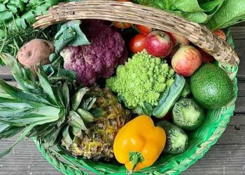 Sobre el fantástico Huerto Roma Verde