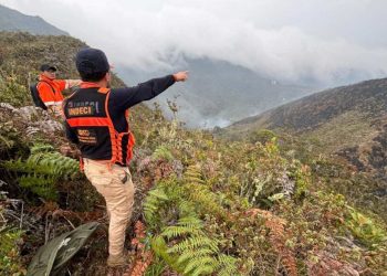 Sube a 20 el número de muertos por incendios forestales en Perú