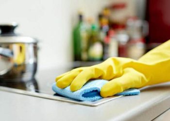 ¿Estás Aprovechando Todos Tus Derechos como Trabajadora del Hogar? Descubre Cómo Obtener Seguridad Social