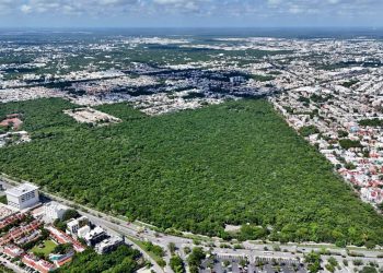 ¿Qué está haciendo Cancún para proteger sus espacios naturales?