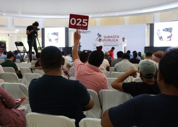 ¿Cuánto recaudó el gobierno en su primera subasta de vehículos?