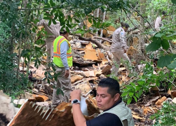 Jornada de Eliminación de Microtiraderos: Más de 4 Toneladas Recogidas en Cancún para Prevenir el Dengue