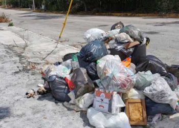 ¡Alerta, Cancún! Nuevas multas por tirar basura podrían costarte hasta 8 mil pesos.