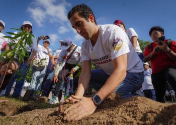 Más de 500 árboles plantados y 250 mascotas atendidas en Solidaridad: el compromiso de Gino Segura