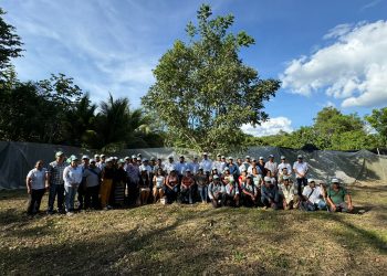 ¿100 toneladas de chicle maya? Descubre el interés de Europa y Japón por Chicza