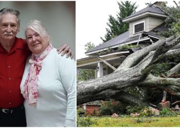 Adultos mayores mueren abrazados; un árbol cayó sobre su casa tras paso de “Helene”