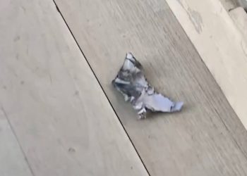 Arrojan explosivo a periodistas en instalaciones de Chivas