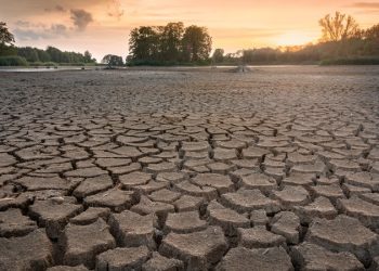 Cambio climático impulsa la migración interna en todo el mundo, según un estudio