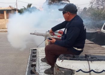 Combate mundial al dengue