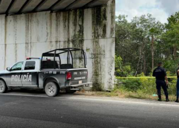 Hallan restos humanos bajo puente en carretera Mérida-Cancún; policía investiga