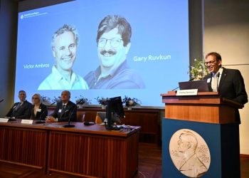 Dan Nobel de Medicina a Ambros y Ruvkun por descubrir microARN