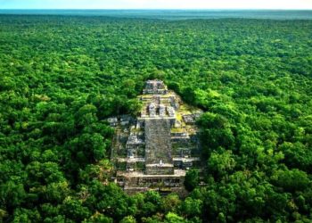 Descubren “por accidente” una ciudad maya en la selva de Campeche