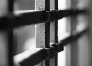 EE.UU. acusa a hermanos Treviño Morales de liderar el Cartel del Noreste desde la cárcel