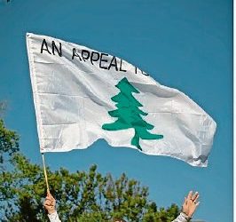 Fanatismo político: miles rezan por regreso de Trump