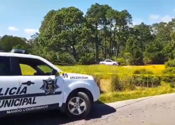 Hallan tres cuerpos embolsados en parque ecológico en Hidalgo