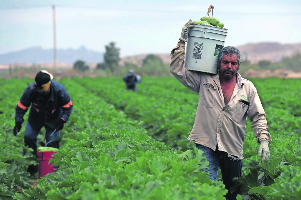 Trabajadores y productores del campo son víctimas del robo de animales e insumos, lo que representa una tremenda problemática para ellos