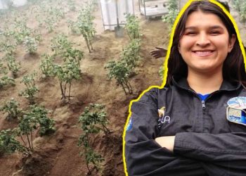 Ivana Millán, la mexicana que quiere hacer posible la agricultura en Marte