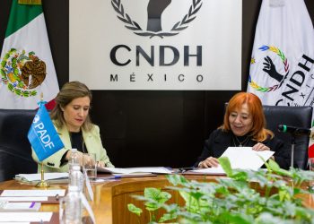 Lista completa de los aspirantes a la presidencia de la CNDH