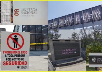 Lo bueno y lo malo de la Cineteca Nacional Chapultepec