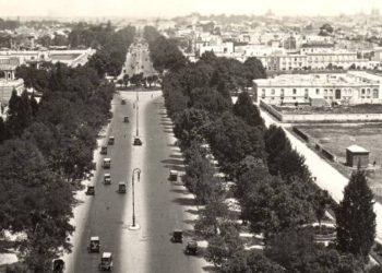 Los mejores lugares para caminar por la CDMX (cortesía de Salvador Novo)