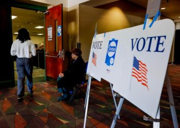 OEA despliega observadores electorales en 13 estados de EE.UU. para las presidenciales