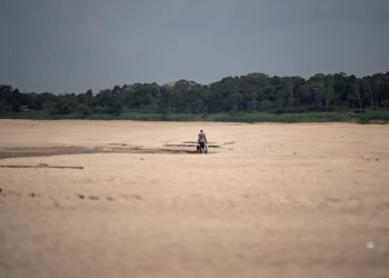 Principales ríos de la Amazonía brasileña están en sus mínimos históricos