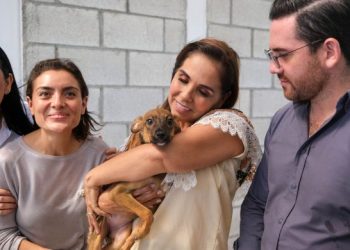 Promueve Mara Lezama en Solidaridad, el bienestar animal con Jornada de Adopción Responsable de mascotas, con tutela y compromiso social