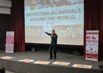 Quintana Roo impulsa capacitación gratuita en materia de bienestar animal: IBANQROO