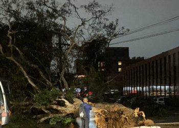 Siete muertos por ráfagas de viento récord en São Paulo, Brasil