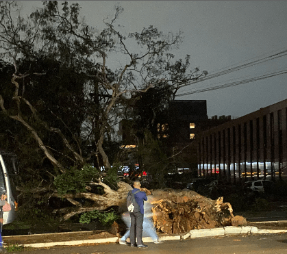 temporal sao paulo