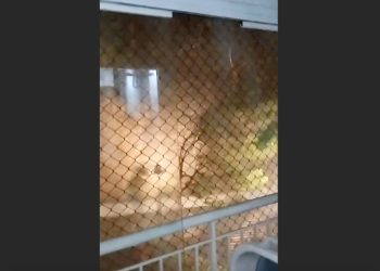 Siete personas muertas por temporal con ráfagas de viento récord en São Paulo, Brasil