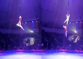 Trapecista cae en plena función; se rompe las manos