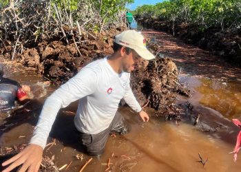 Supervisan conservación ambiental en la Laguna Nichupté como parte del proyecto del Puente Nichupté