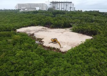 Clausuran Obra Ilegal en Área Protegida de Quintana Roo