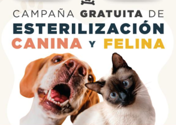 Gobierno de Cancún y PETA trabajan juntos por el bienestar animal