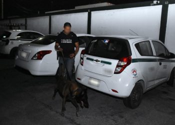 Aseguran drogas, municiones y computadoras en cateo del sindicato de taxistas en Cancún