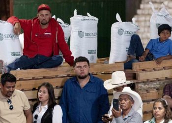 Anuncian nueva Productora de Semillas de Bienestar