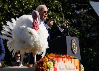 Biden indulta a sus últimos pavos, Peach y Blossom, que simbolizan la “resistencia”