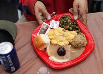 Cine, viajes y gripe aviar, protagonistas de un Acción de Gracias que podría batir récords