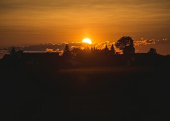 El 2024 sería el año más cálido jamás registrado, según Copernicus