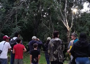 Fomenta FPMC conexión con la naturaleza a través de una jornada de observación de aves en Cozumel