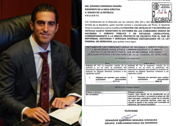 Gino Segura presenta reserva para solicitar prórroga de 180 días para el cobro a los turistas de cruceros.