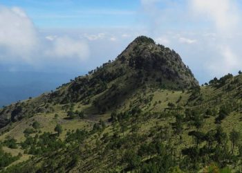 Historia del Ajusco, uno de los bosques de la CDMX