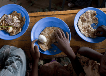 La Alianza contra el Hambre nace con compromisos para beneficiar a 500 millones de pobres