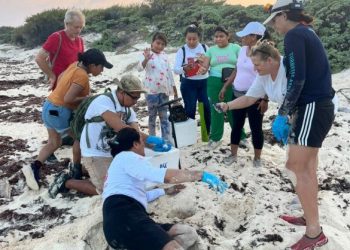 La FPMC cierra con éxito el “Programa de Protección a la Tortuga Marina 2024”