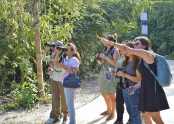 La FPMC invita a la jornada de observación “Las Aves y su Paso Migratorio Urbano”