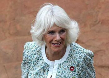 La reina Camila suspende actos públicos por infección de pecho